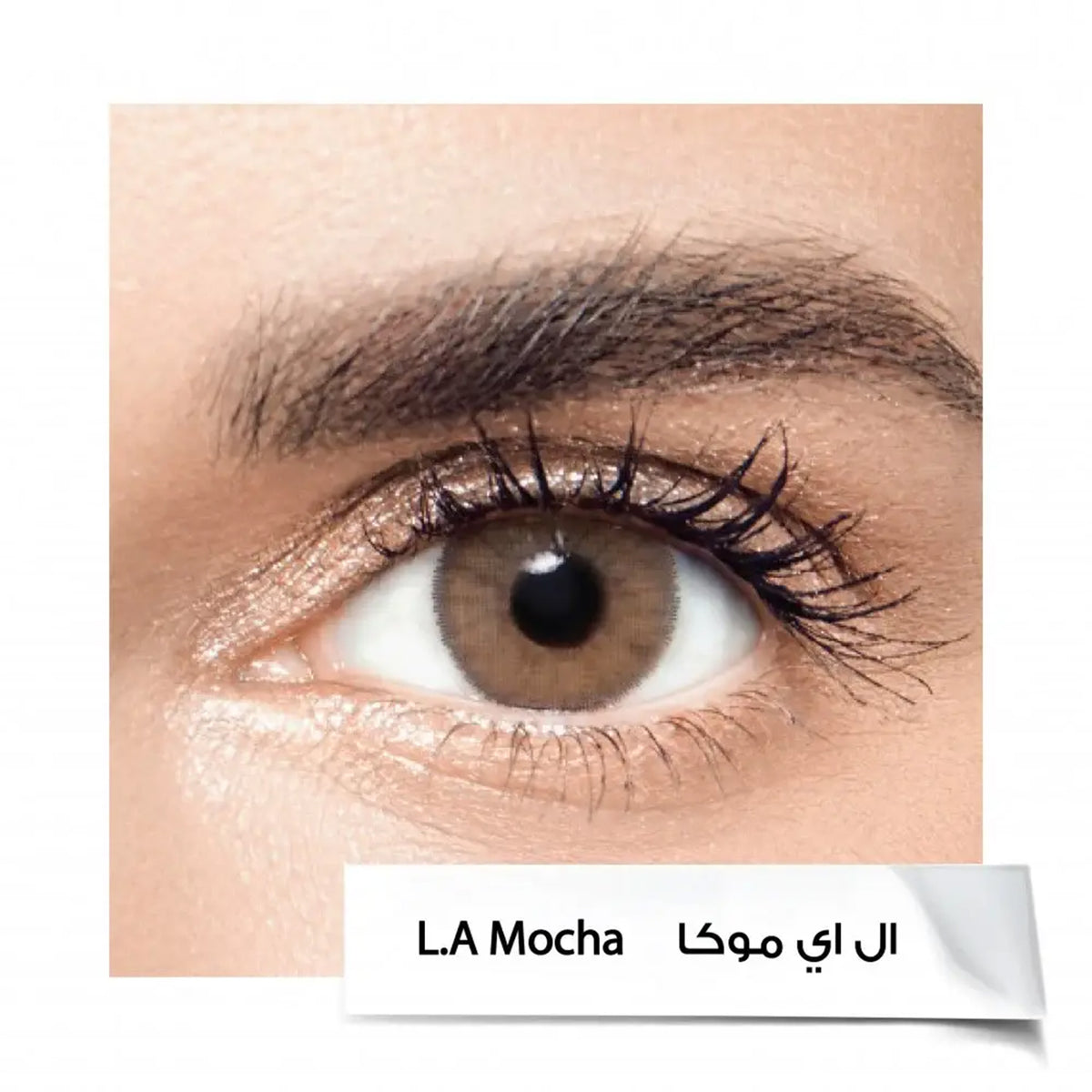 Anesthesia LA Mocha Lenses