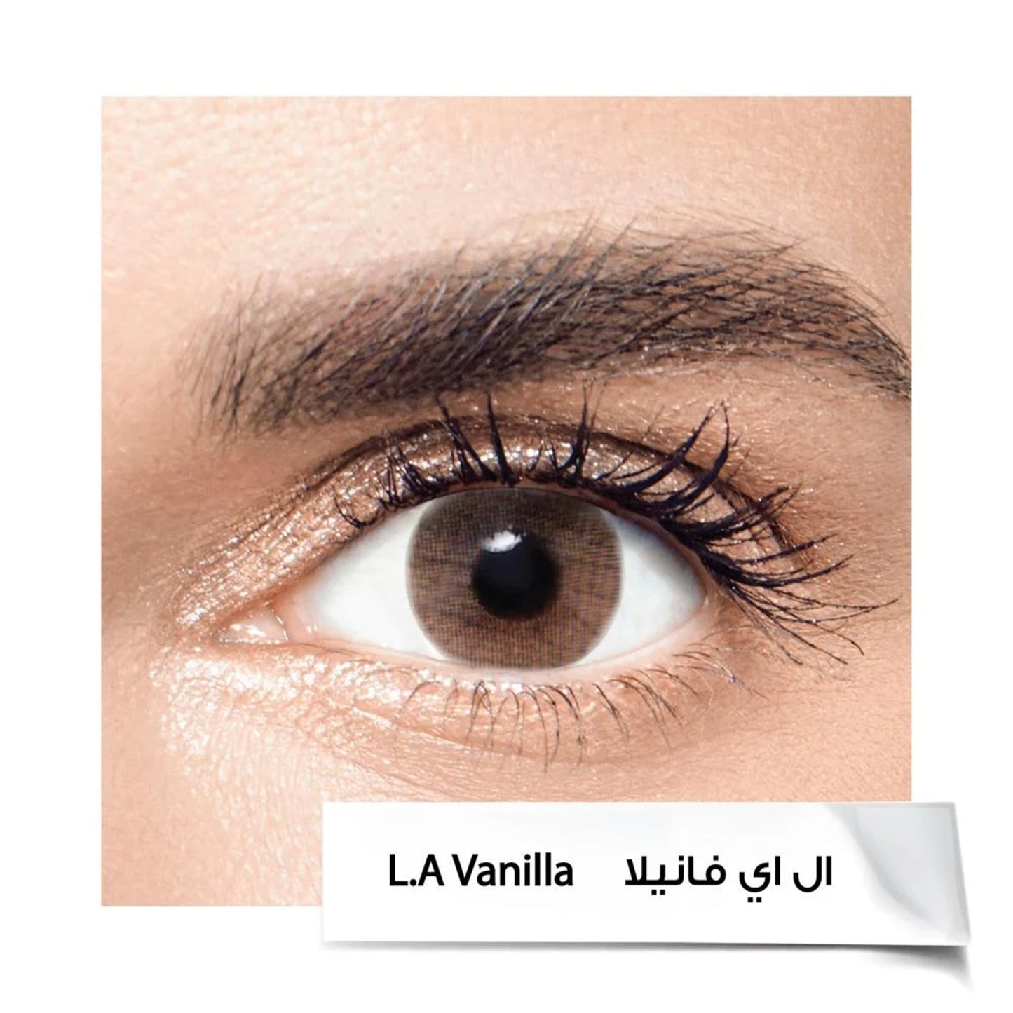 Anesthesia Latinia Vanilla Lenses