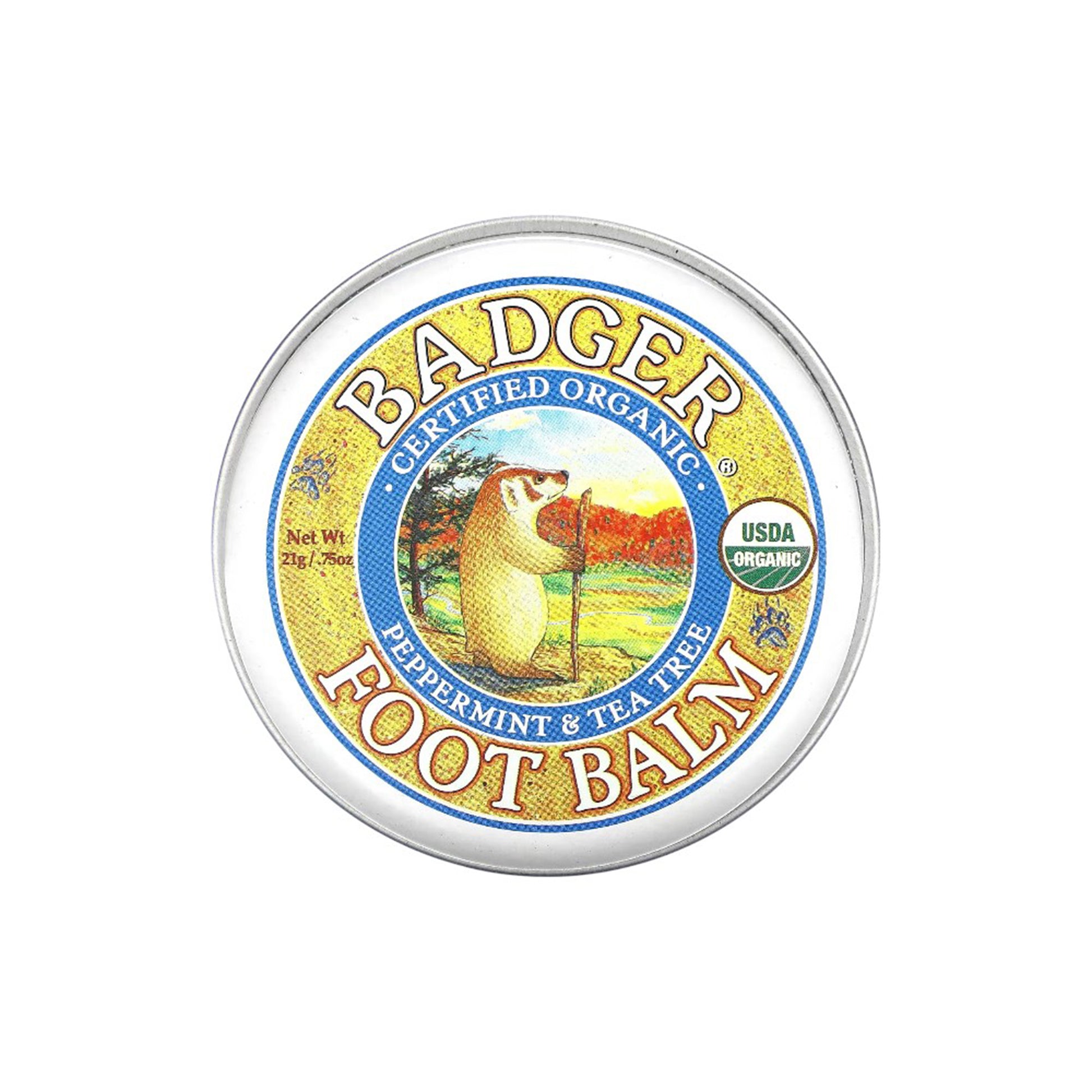 badger-moisturizing-foot-blemish-with-peppermint-and-tea-tree-21-gram