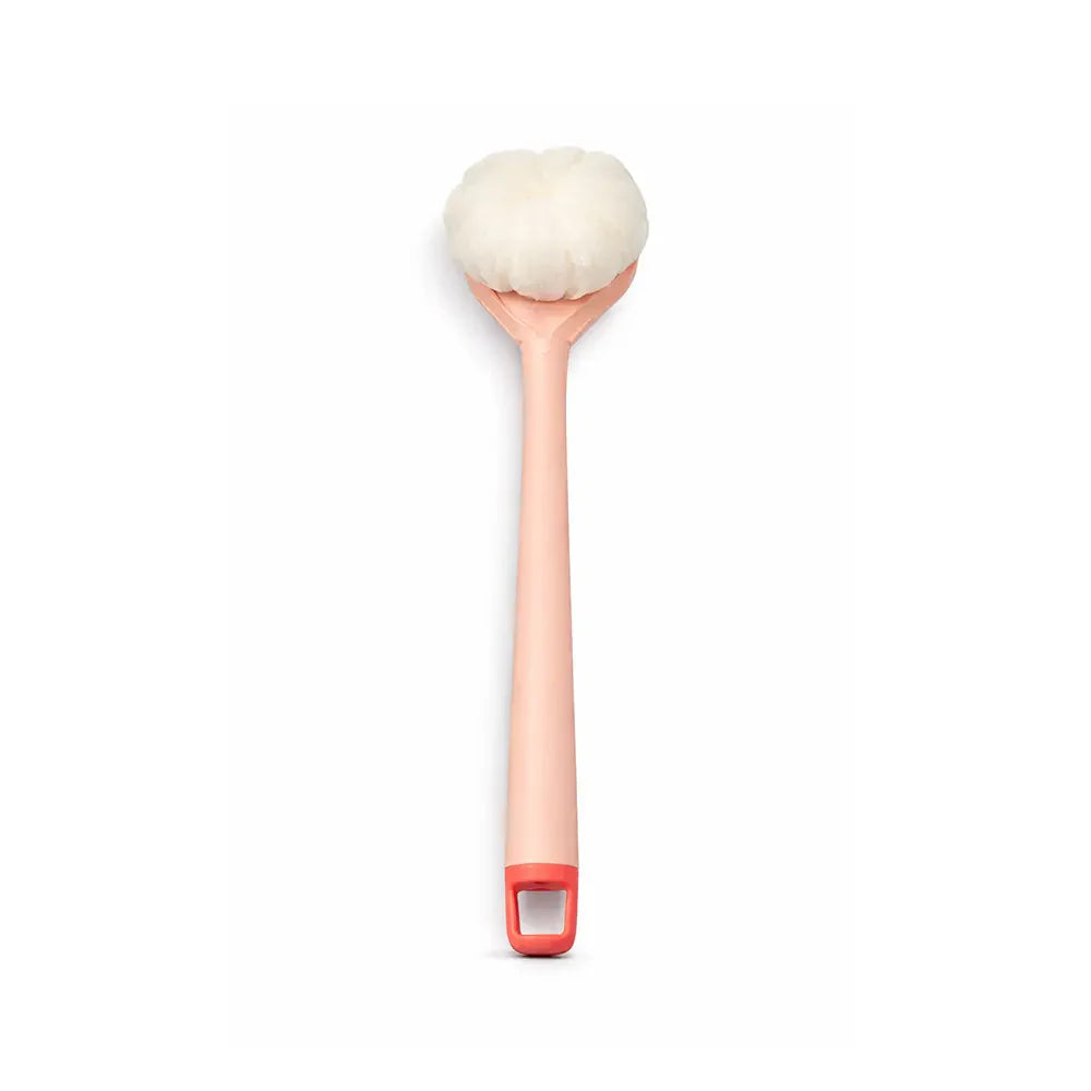 Long handle sponge