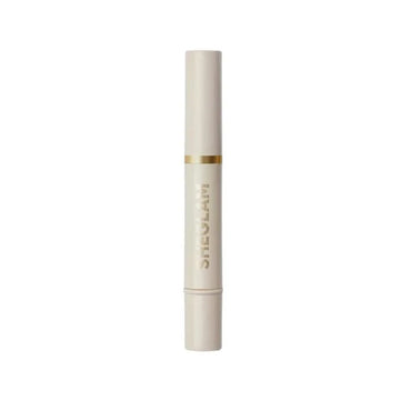 shiglam-concealer-skin-blemish-concealer-earth-45-gram