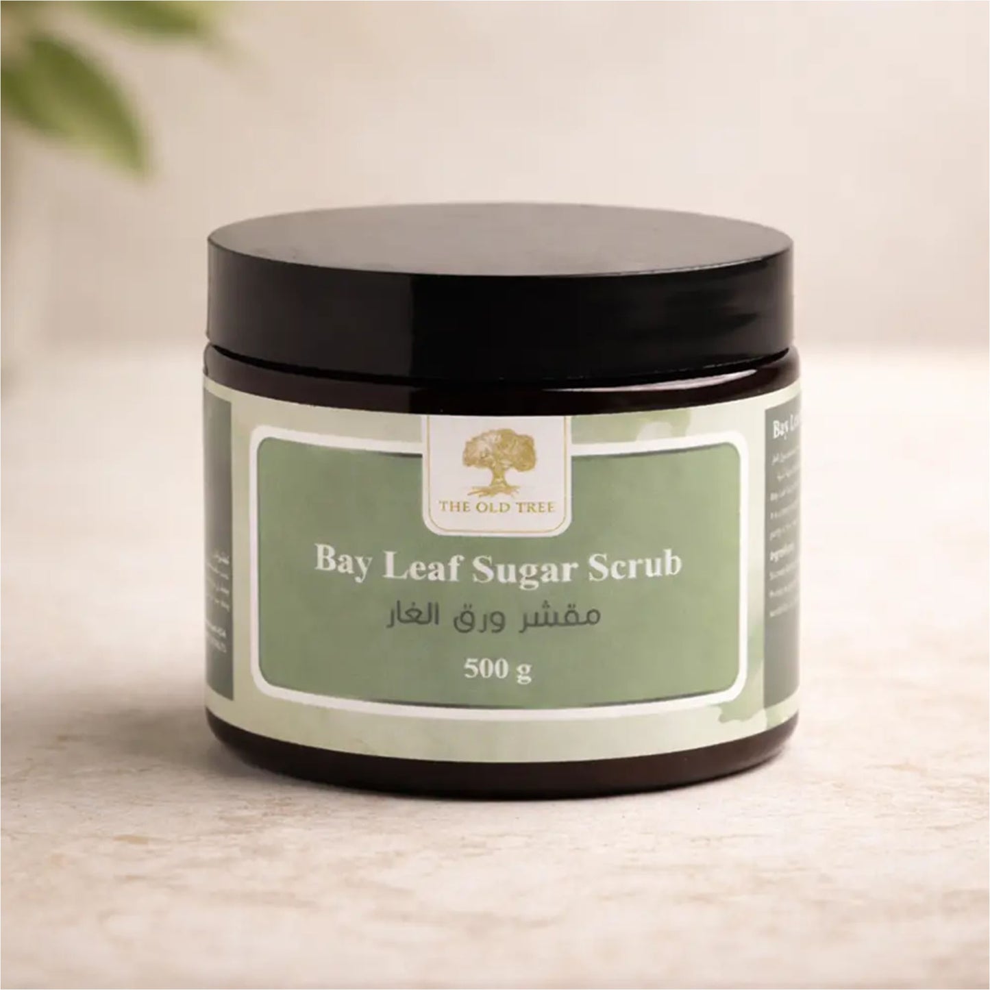 the-old-tree-sugar-body-scrub-with-bay-leaf-500g